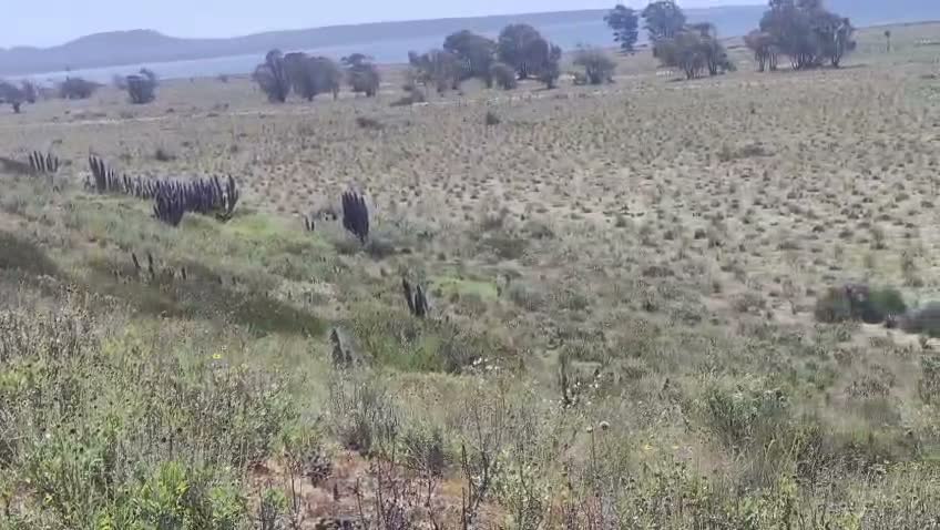 Fotograma del video de La lomita · sin servicios en 0:35