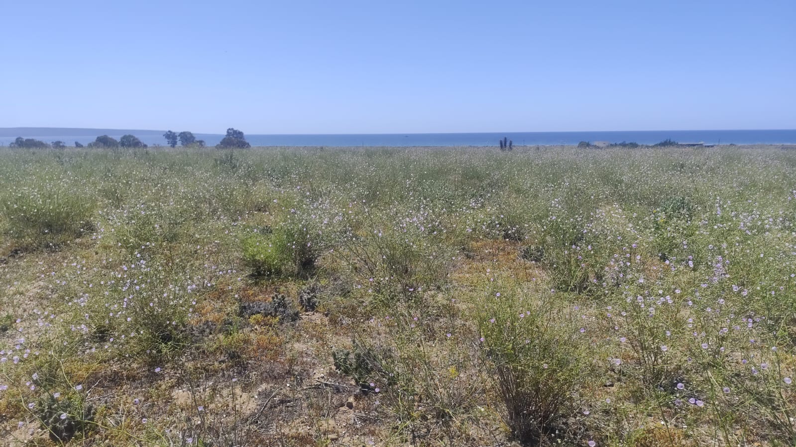 Vista desde la meseta hacia el mar y la vegetación