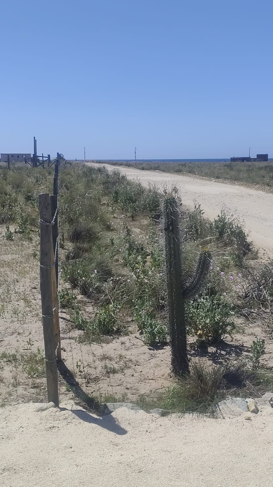 Cerco y camino con el mar al fondo en el sector del plano